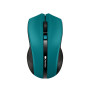 Мышь беспроводная Canyon CNE-CMSW05G Green USB