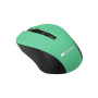Мышь беспроводная Canyon CNE-CMSW1GR Green USB
