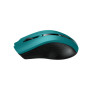 Мышь беспроводная Canyon CNE-CMSW05G Green USB
