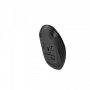 Мышь беспроводная A4Tech FB12 Black USB
