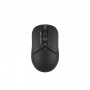 Мышь беспроводная A4Tech FB12 Black USB