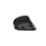 Миша бездротова Trust Voxx Rechargeable Ergonomic Black (23731)