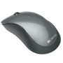 Мышь беспроводная Canyon CNE-CMSW11B Black USB