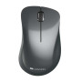 Мышь беспроводная Canyon CNE-CMSW11B Black USB