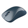 Мышь беспроводная Canyon CNE-CMSW11BL Blue USB