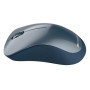 Мышь беспроводная Canyon CNE-CMSW11BL Blue USB