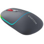 Миша бездротова Canyon MW-22 Dual Band RGB Wireless Dark Grey (CNS-CMSW22DG)