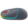 Миша бездротова Canyon MW-22 Dual Band RGB Wireless Dark Grey (CNS-CMSW22DG)