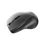 Мышь беспроводная Canyon CNS-CMSW01B Black USB