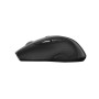 Мышь беспроводная Canyon CNS-CMSW01B Black USB