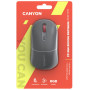 Миша бездротова Canyon MW-22 Dual Band RGB Wireless Dark Grey (CNS-CMSW22DG)