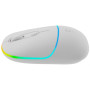 Миша бездротова Canyon MW-22 Dual Band RGB Wireless Snow White (CNS-CMSW22SW)