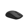 Мышь беспроводная A4Tech FG12 Black USB