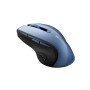 Мышь беспроводная Canyon CNS-CMSW01BL Blue USB