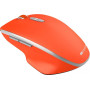 Мышь беспроводная Canyon CNS-CMSW21R Red USB