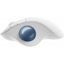 Мышь Bluetooth Logitech Ergo M575 (910-005870) White USB