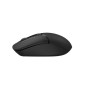 Мышь беспроводная A4Tech FG12S Black USB