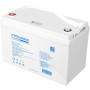 Акумуляторна батарея Prologix 12.8V 100AH 1280Wh (PLFP12-100) LiFePO4