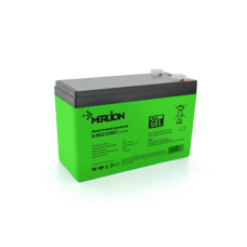 Аккумуляторная батарея Merlion 12V 9AH Green (G-MLG1290F2/12648) AGM