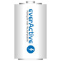 Аккумулятор everActive D/HR20 10000mAh BL 2шт
