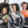 Автокресло Evenflo Symphony ELITE Paramount (032884187515)