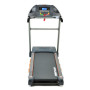 Беговая дорожка FitLogic T15