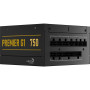 Блок живлення AeroCool Premier G1 750 (ACPG-PR75FEC.71) 750W