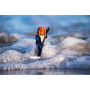 Фигурка Jazwares Roblox Core Figures Sharkbite Surfer (19877R)