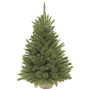 Штучна сосна Triumph Tree Forest Frosted зелена 0,9 м (8717669551881)