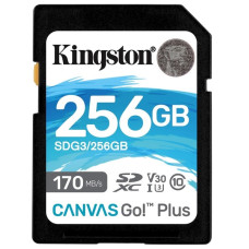 Картка пам'ятi KINGSTON SDXC 256GB Go+ U3 V30(R170/W90)