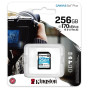 Картка пам'ятi KINGSTON SDXC 256GB Go+ U3 V30(R170/W90)