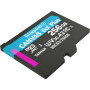 Картка пам'ятi KINGSTON microSDXC 256Gb Canvas Go+ U3 V30 (R170/W90) no ad