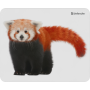 Килимок для мишi DEFENDER Wild Animals 220x180x2mm 8 видів
