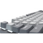 Клавіатура GamePro Genesis Metallic MK110G Outemu Red Swithes USB Gray