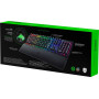 Клавиатура Razer BlackWidow V3 Yellow Switch (RZ03-03542100-R3R1) Black USB