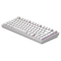 Клавіатура Dark Project ALU81 Terra Nostra White (DPKB_NOSTRA_81_ANSI_WHITE_UA)