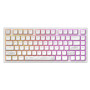 Клавіатура Dark Project ALU81 Terra Nostra White (DPKB_NOSTRA_81_ANSI_WHITE_UA)