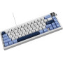 Клавіатура Ajazz AK650 Sea Salt Switch White USB-C (AK650-SS-BWB)