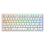 Клавіатура Dark Project ALU81 Terra Nova White (DPKB_NOVA_81_ANSI_WHITE_UA)