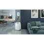 Кондиціонер Olimpia Splendid Dolceclima Air Pro 14 HP Wi-Fi (OS-2029)