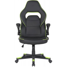 Крісло для геймерів 2E Gaming Hebi Black/Green (2E-GC-HEB-BK)