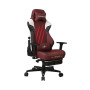 Крісло для геймерів 1stPlayer Duke Black&White&Red