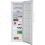 Морозильная камера Beko RFNE 312 K21W (RFNE312K21W)