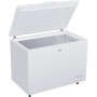Морозильний ларь Beko CF316W