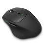Мышка Rapoo MT550 black