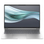 Ноутбук HP EliteBook 665 G11 (8Z715AV_V1) Silver