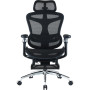 Крісло офісне Sihoo Doro C300 Pro Mesh Black with footrest (Doro-C300-Pro-M101-JT)