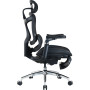 Крісло офісне Sihoo Doro C300 Pro Mesh Black with footrest (Doro-C300-Pro-M101-JT)