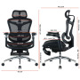 Крісло офісне Sihoo Doro C300 Pro Mesh Black with footrest (Doro-C300-Pro-M101-JT)