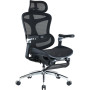 Крісло офісне Sihoo Doro C300 Pro Mesh Black with footrest (Doro-C300-Pro-M101-JT)